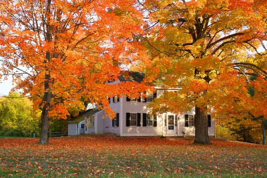 خانه تکانی در پاییز